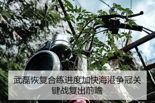武磊恢复合练进度加快海港争冠关键战复出前瞻